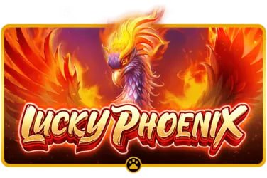 topx casino